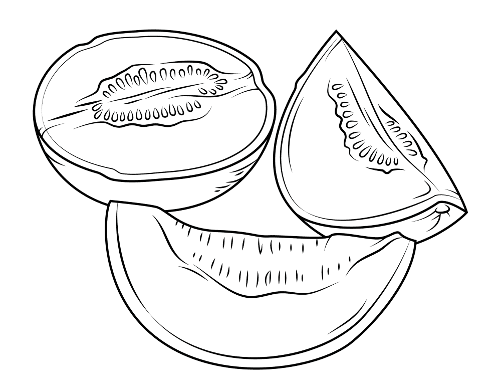 Melon 3 Coloring Page Md Coloring Page — Free Printable — free printable coloring page