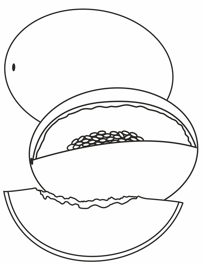 Melon Coloring Page Md Coloring Page — Free Printable — free printable coloring page