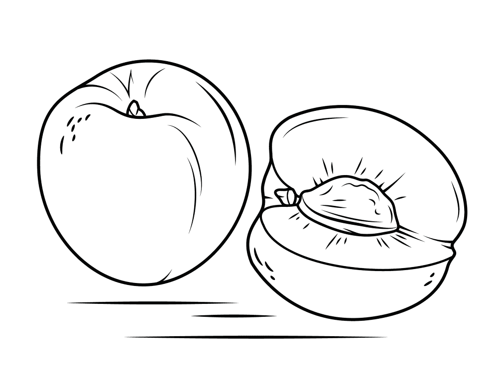 Nectarine And Cross Section Coloring Page Md Coloring Page — Free Printable — free printable coloring page