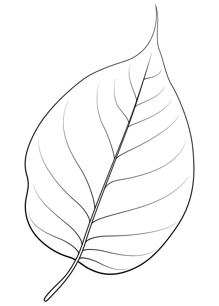 Osage Orange Leaf Coloring Page Md Coloring Page — Free Printable — free printable coloring page
