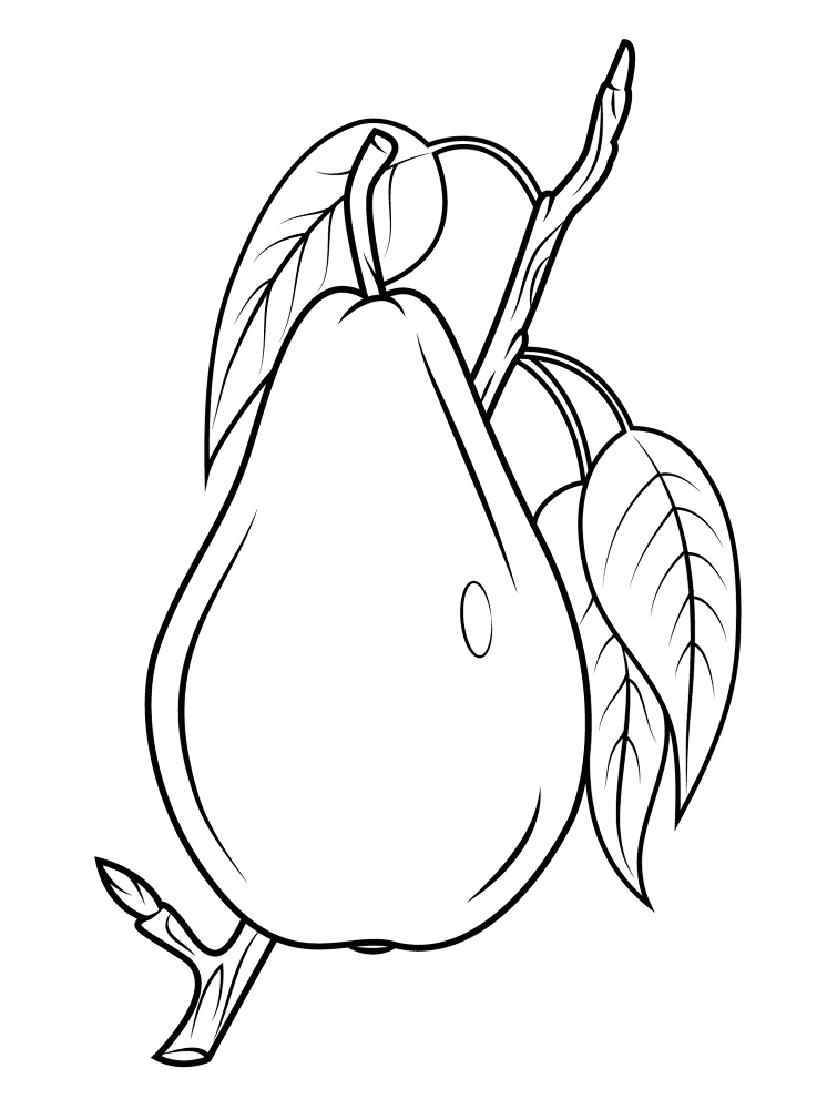 Pear 4 Coloring Page Md Coloring Page — Free Printable — free printable coloring page