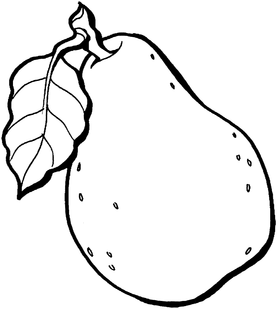 Pear 7 Coloring Page Md Coloring Page — Free Printable — free printable coloring page