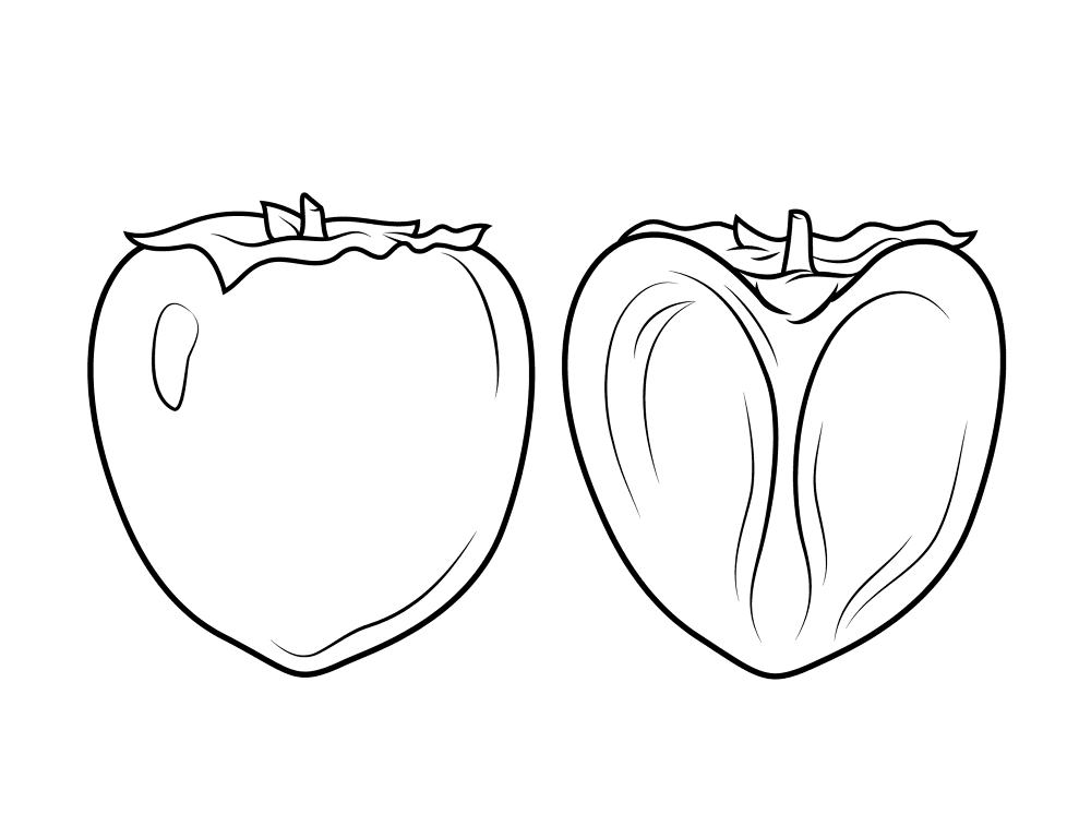 Persimon 1 Coloring Page Md Coloring Page — Free Printable — free printable coloring page
