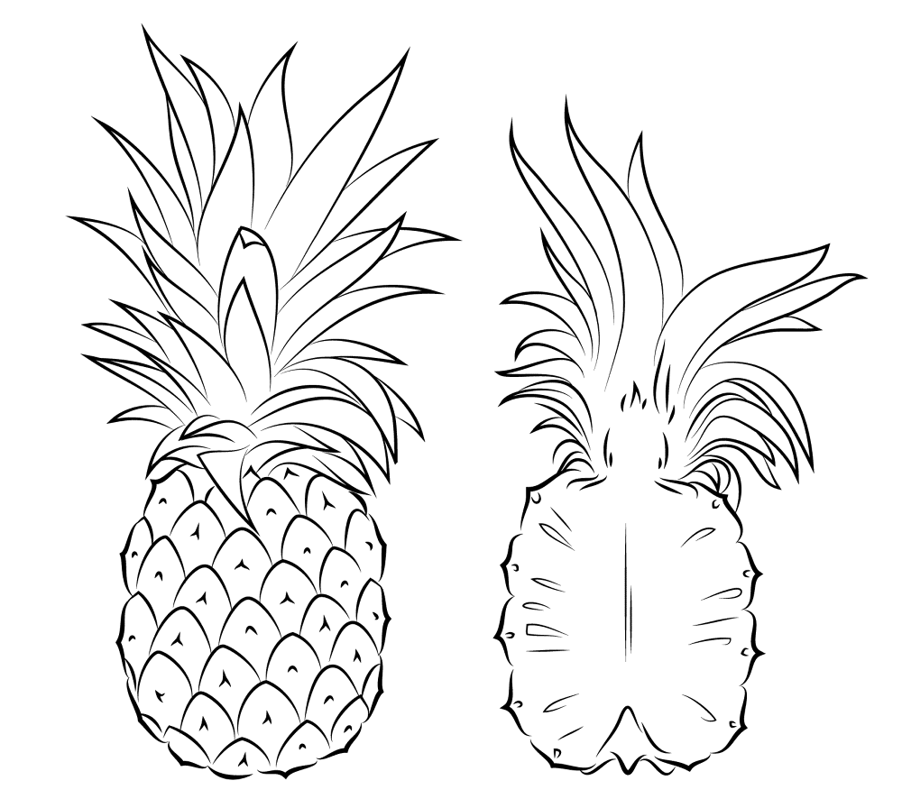 Pineapple And Cross Section Coloring Page Md Coloring Page — Free Printable — free printable coloring page