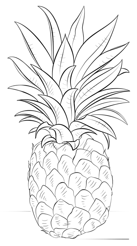 Pineapple Coloring Page Md Coloring Page — Free Printable — free printable coloring page