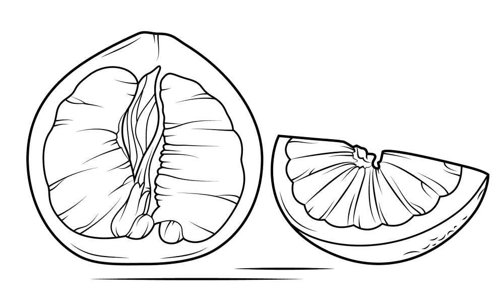 Pomelo Sliced Open Coloring Page Md Coloring Page — Free Printable — free printable coloring page