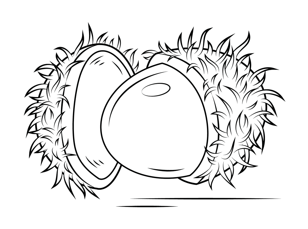 Rambutan 2 Coloring Page Md Coloring Page — Free Printable — free printable coloring page