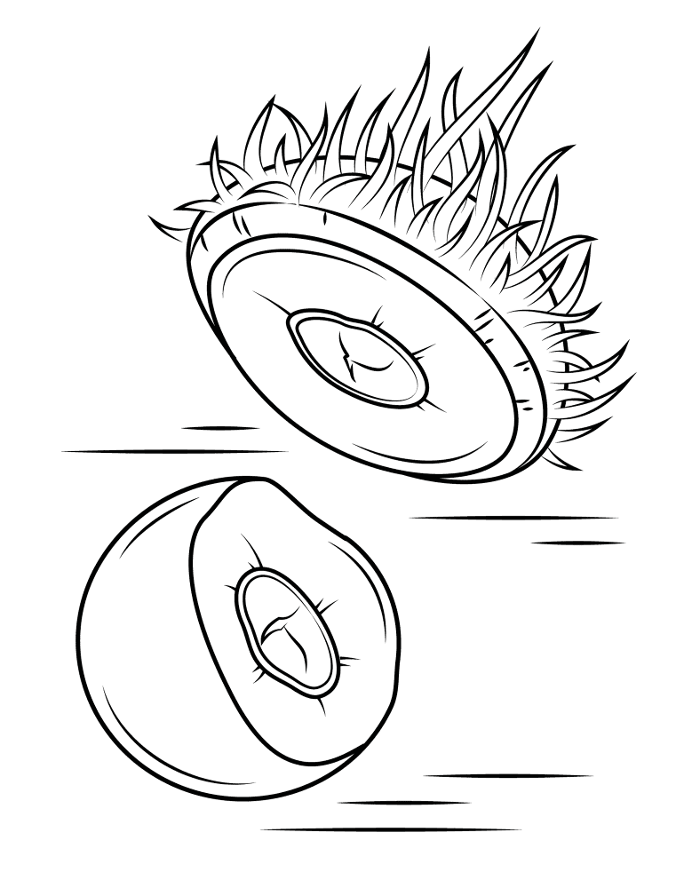 Rambutan 3 Coloring Page Md Coloring Page — Free Printable — free printable coloring page