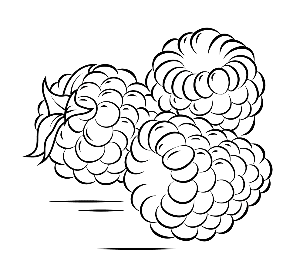 Raspberry 3 Coloring Page Md Coloring Page — Free Printable — free printable coloring page