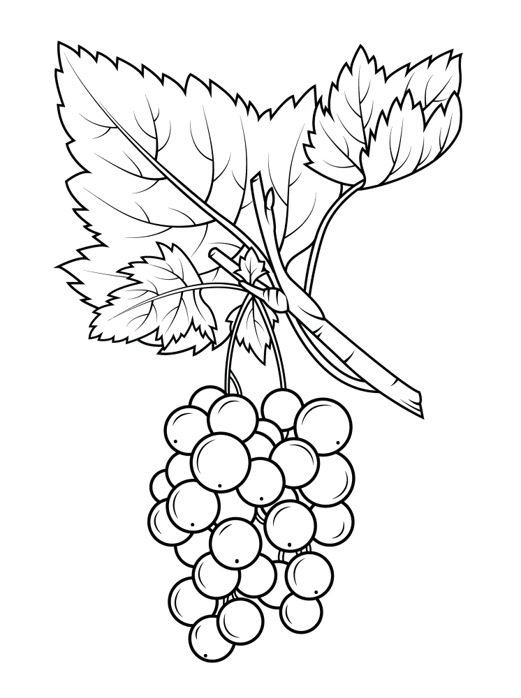 Red Gooseberry Coloring Page Md Coloring Page — Free Printable — free printable coloring page