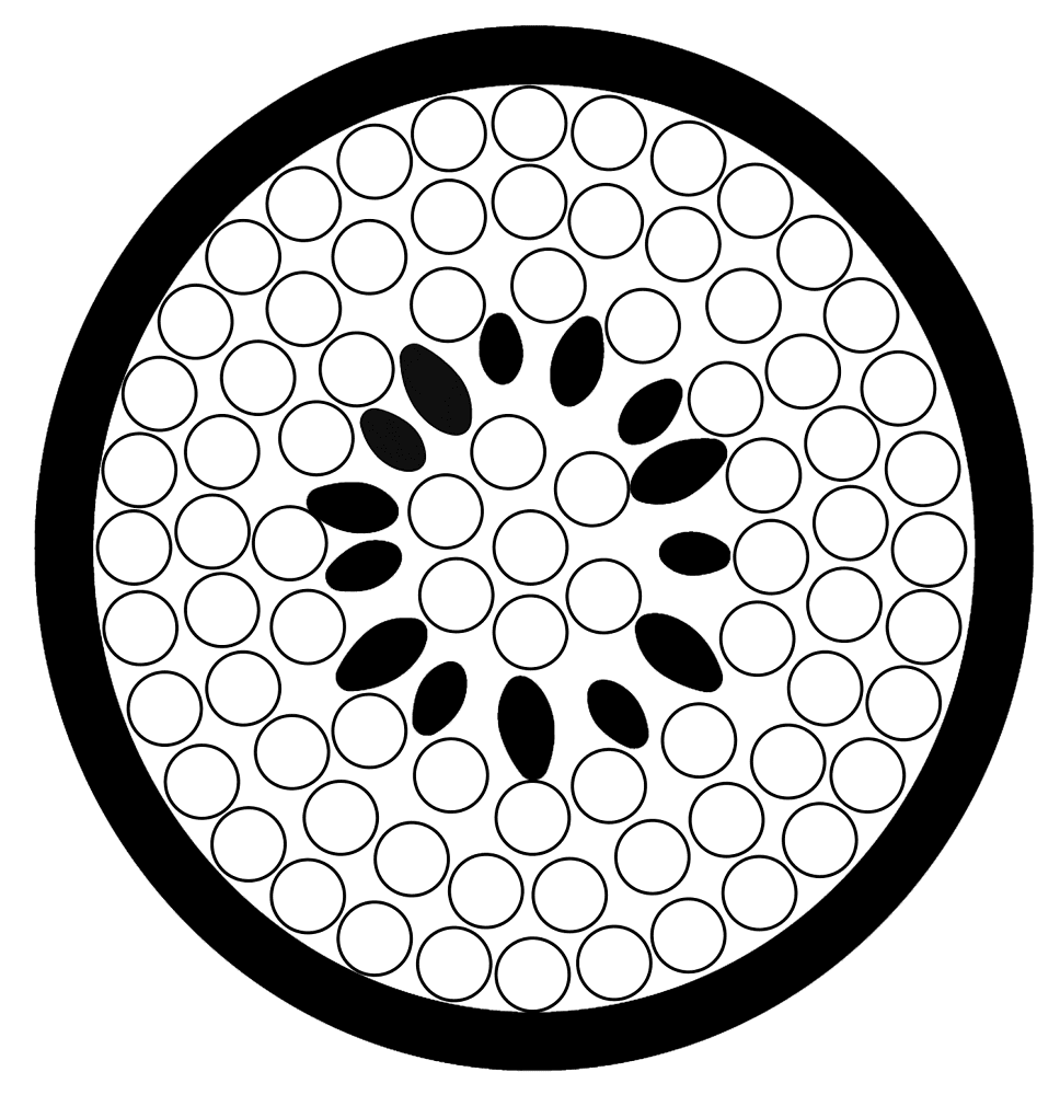 Simple Kiwi Dot Marker Coloring Page Md Coloring Page — Free Printable — free printable coloring page