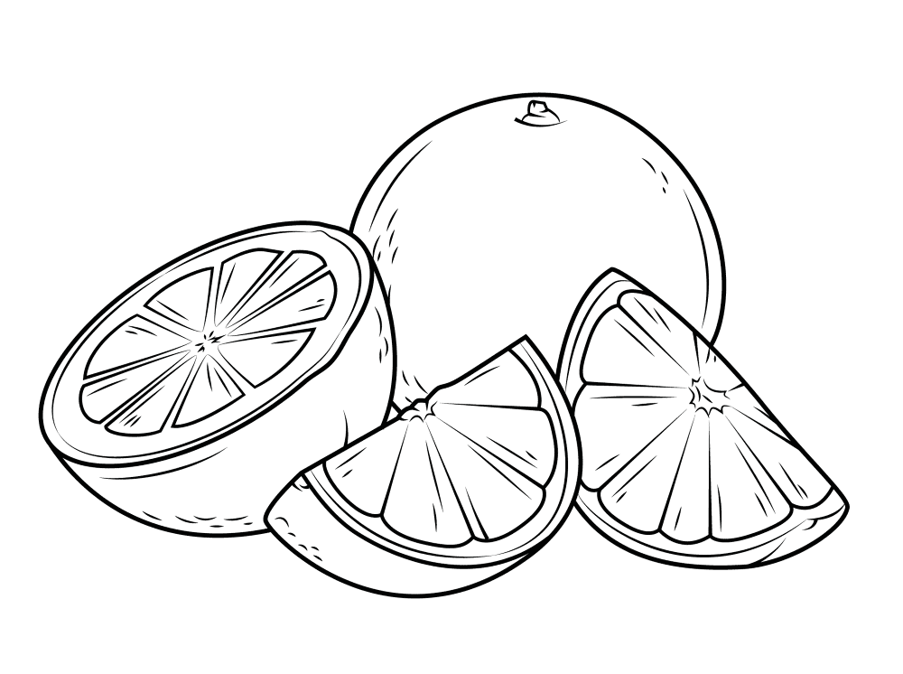 Two Oranges One Whole And The Other Cut It Pieces Coloring Page Md Coloring Page — Free Printable — free printable coloring page