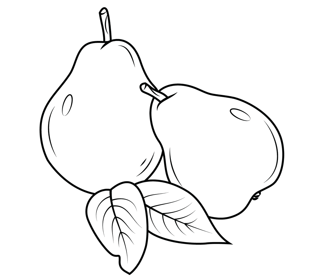 Two Pears Coloring Page Md Coloring Page — Free Printable — free printable coloring page