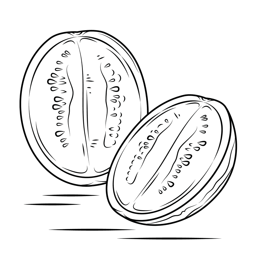 Watermelon 2 Coloring Page Md Coloring Page — Free Printable — free printable coloring page