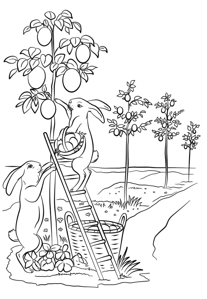 Bunnies Are Decorating Trees With Easter Eggs Coloring Page Md Coloring Page — Free Printable — free printable coloring page