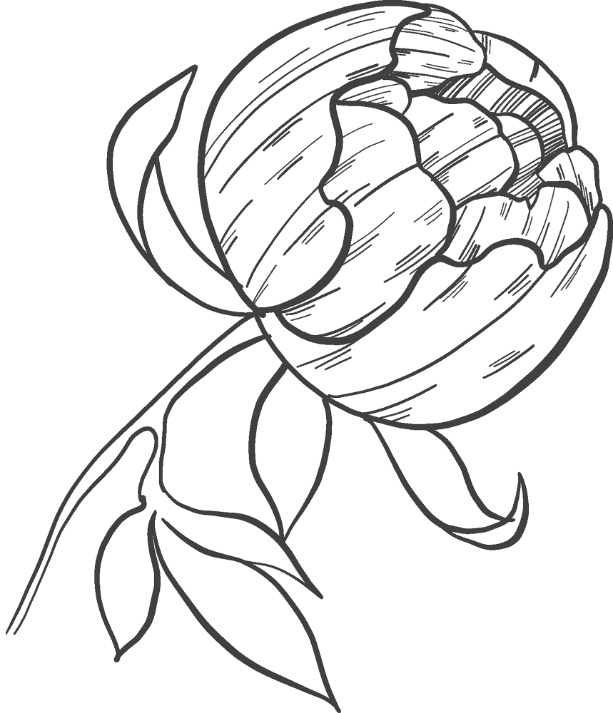 Peony 8 Coloring Page Md Coloring Page — Free Printable — free printable coloring page