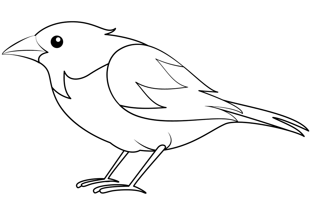 Bird Coloring Page Md Coloring Page — Free Printable — free printable coloring page