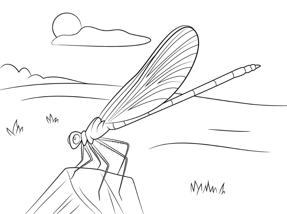 Blue Damselfly Coloring Pages Md Coloring Page — Free Printable — free printable coloring page