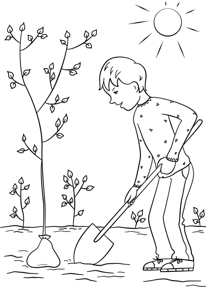 Boy Planting A Tree Coloring Page Md Coloring Page — Free Printable — free printable coloring page