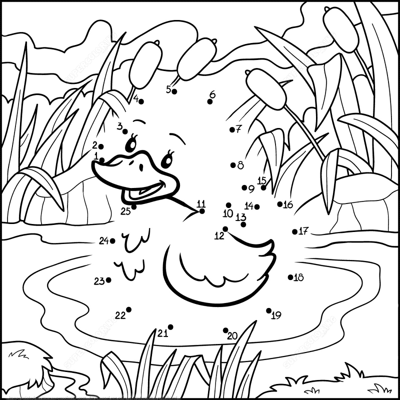 Duck In A Pond Dot To Dot Md Coloring Page — Free Printable — free printable coloring page