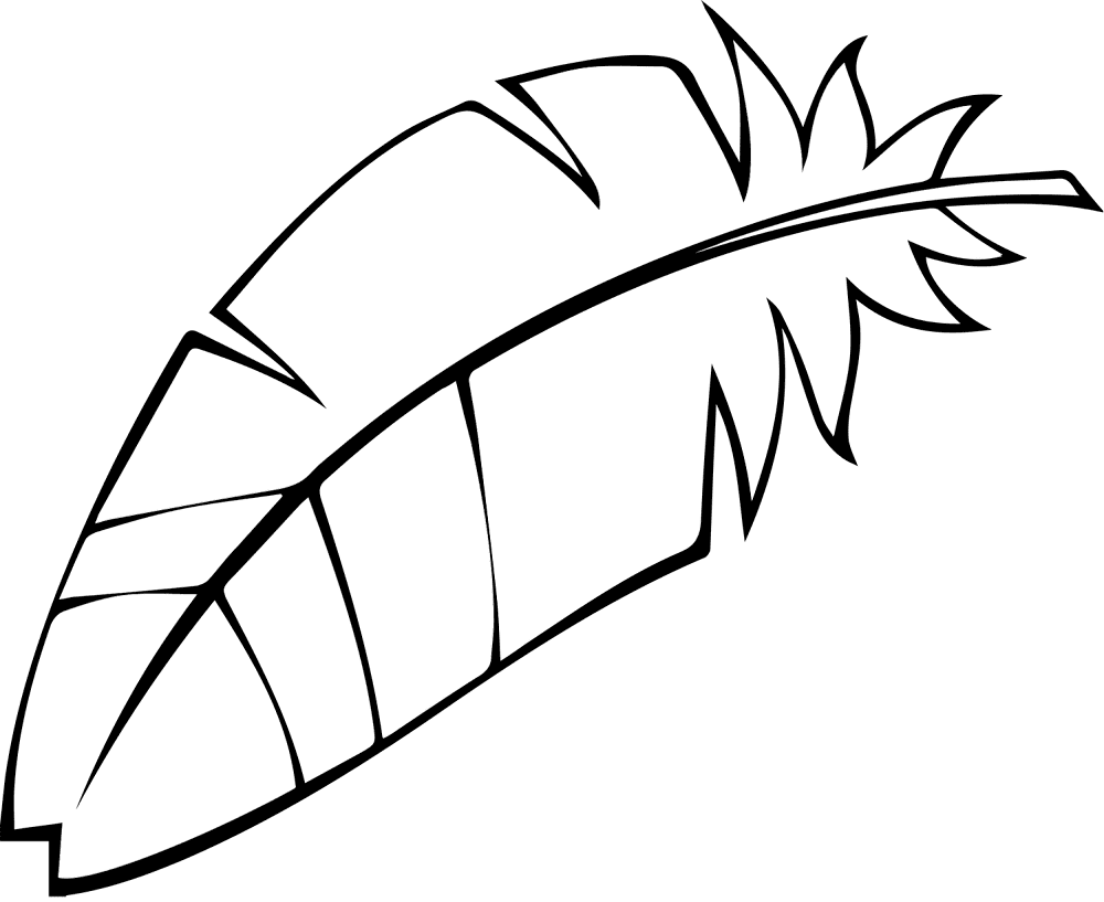 Feather 01 Coloring Page Md Coloring Page — Free Printable — free printable coloring page