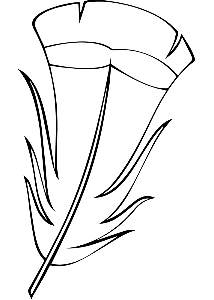 Feather 03 Coloring Page Md Coloring Page — Free Printable — free printable coloring page