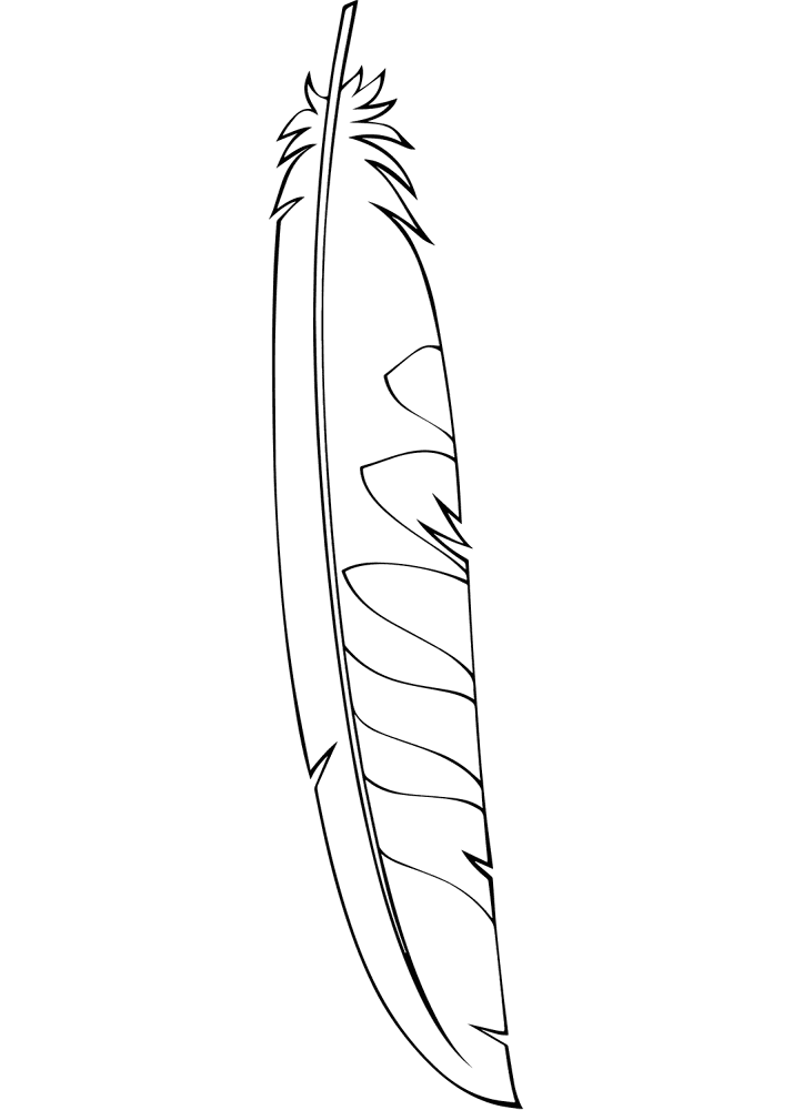 Feather 04 Coloring Page Md Coloring Page — Free Printable — free printable coloring page
