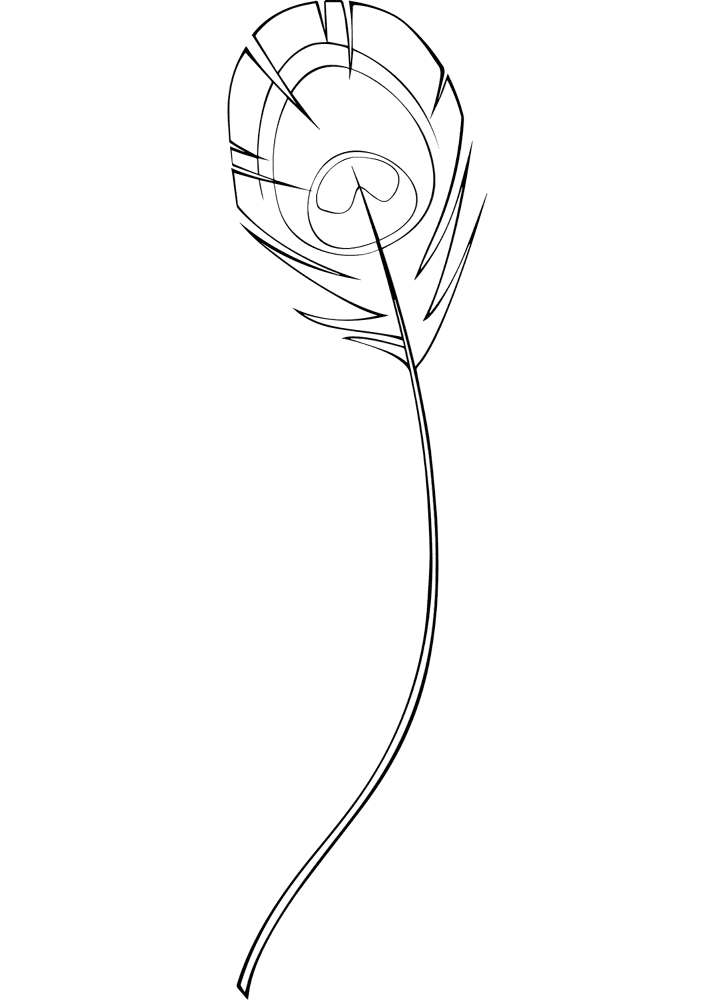 Feather 07 Coloring Page Md Coloring Page — Free Printable — free printable coloring page