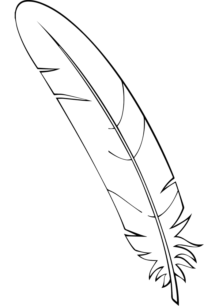 Feather 08 Coloring Page Md Coloring Page — Free Printable — free printable coloring page