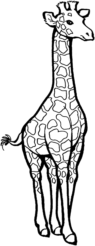 Giraffe 5 Coloring Page Md Coloring Page — Free Printable — free printable coloring page