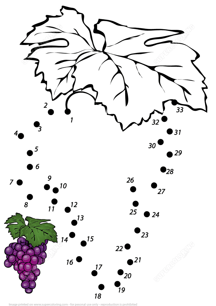 Grape Dot To Dot Md Coloring Page — Free Printable — free printable coloring page