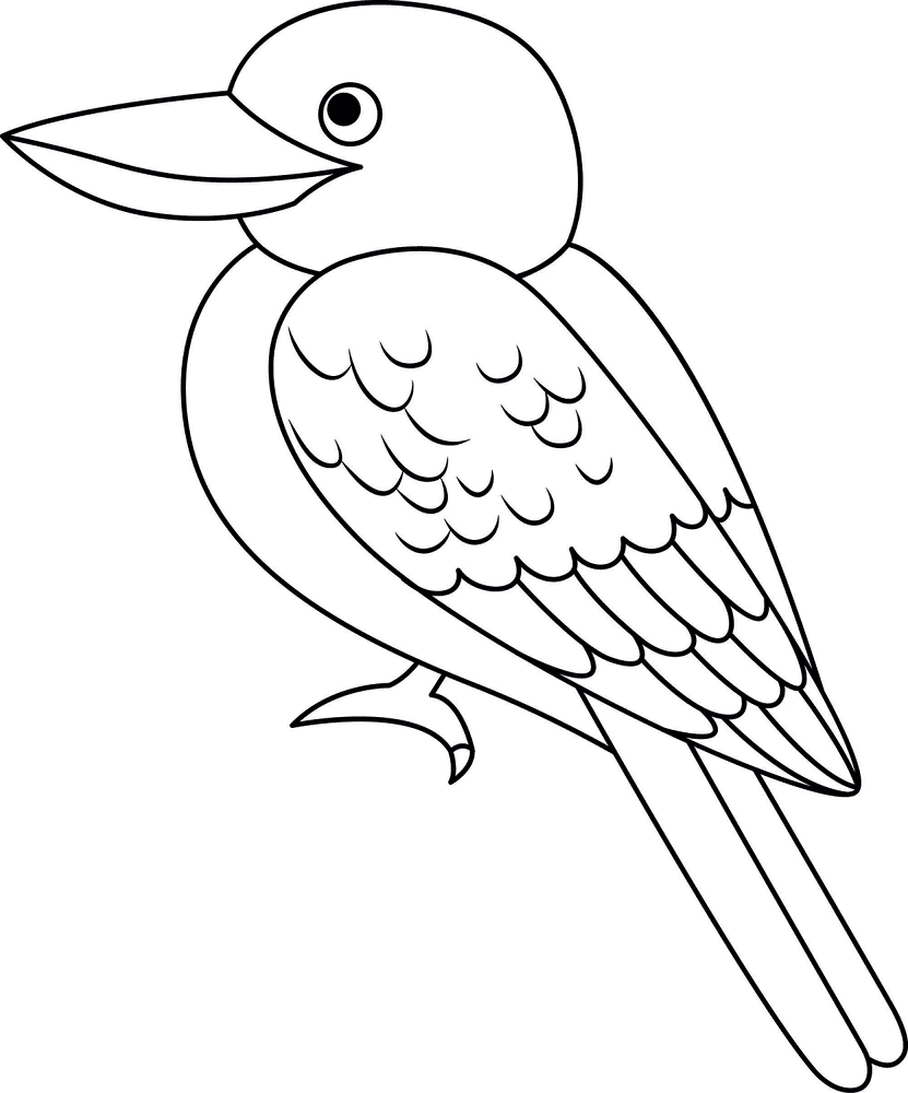 Kookaburra Coloring Page Md Coloring Page — Free Printable — free printable coloring page