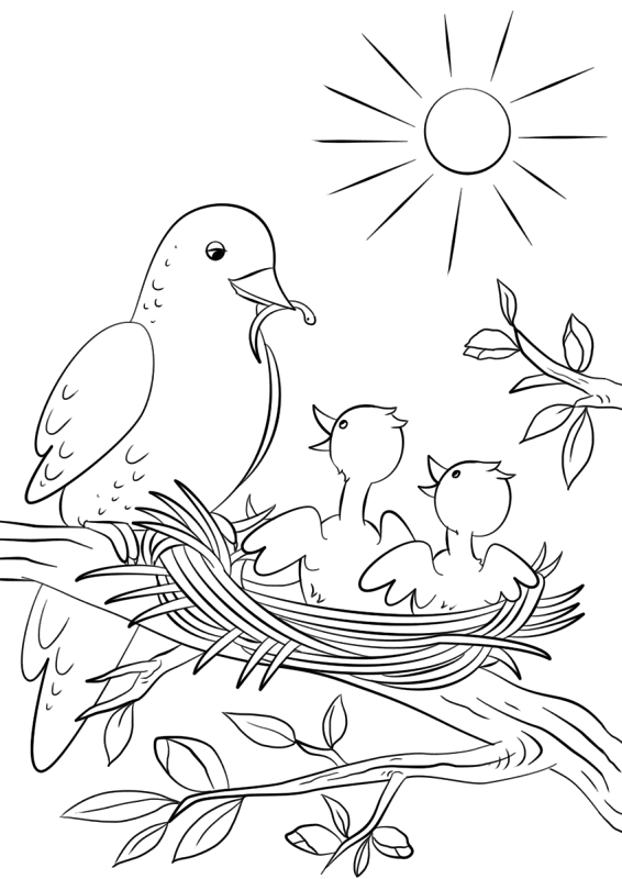 Mother Bird Feeding Chicks Coloring Page Md Coloring Page — Free Printable — free printable coloring page