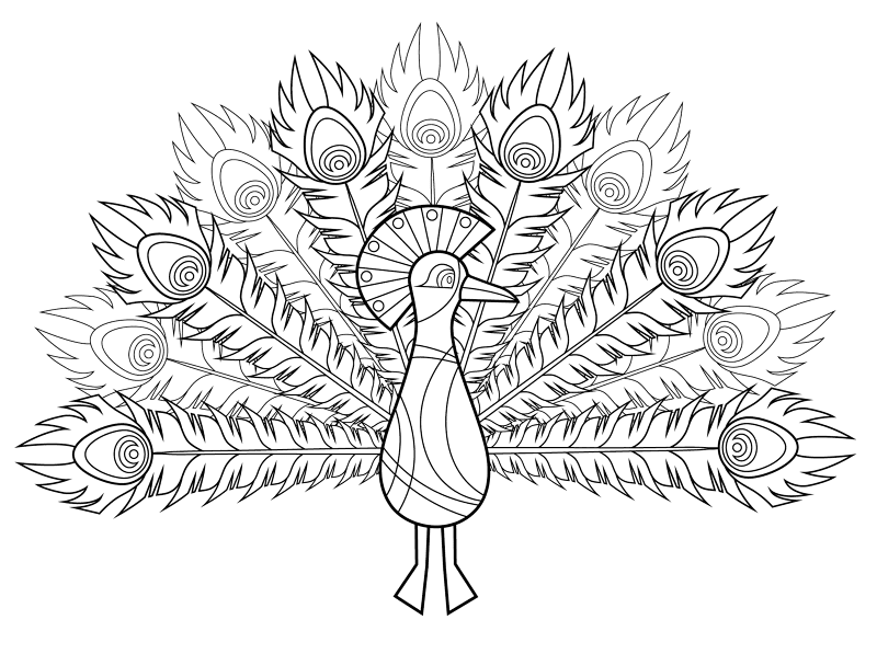 Peacock Coloring Page Md Coloring Page — Free Printable — free printable coloring page