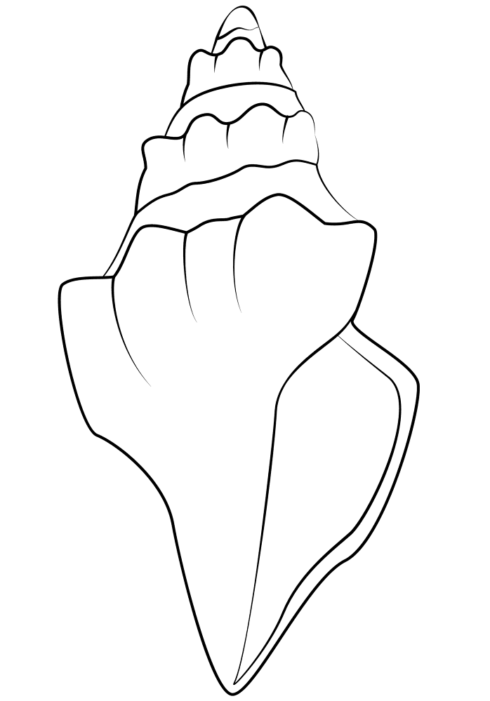 Seashell Coloring Page Md Coloring Page — Free Printable — free printable coloring page