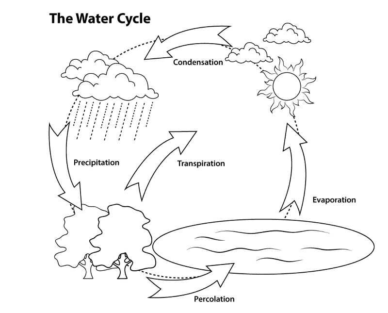 Simple Water Cycle Coloring Pages Md Coloring Page — Free Printable — free printable coloring page