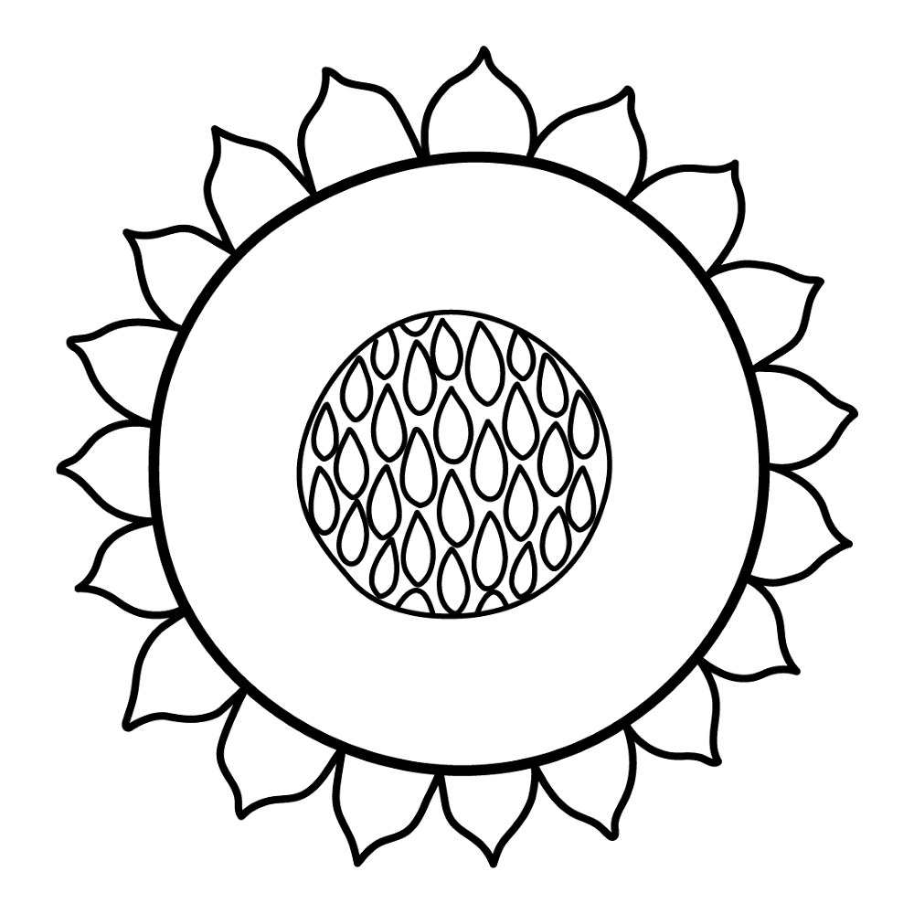 Sunflower 5 Coloring Page Md Coloring Page — Free Printable — free printable coloring page