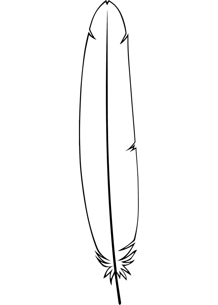 Tail Feather Coloring Page Md Coloring Page — Free Printable — free printable coloring page