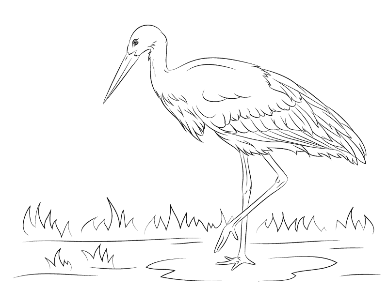 White Stork Coloring Pages Md Coloring Page — Free Printable — free printable coloring page